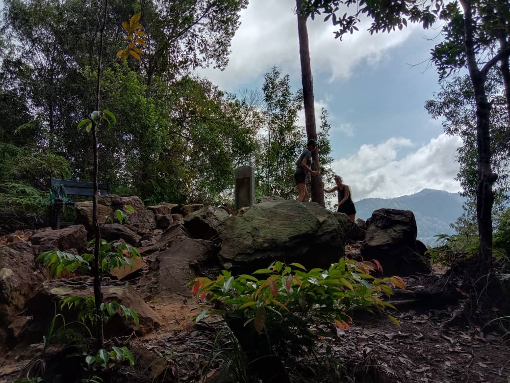 Taman Negara National Park Trekking Day trip (SIC - Join In Tour)