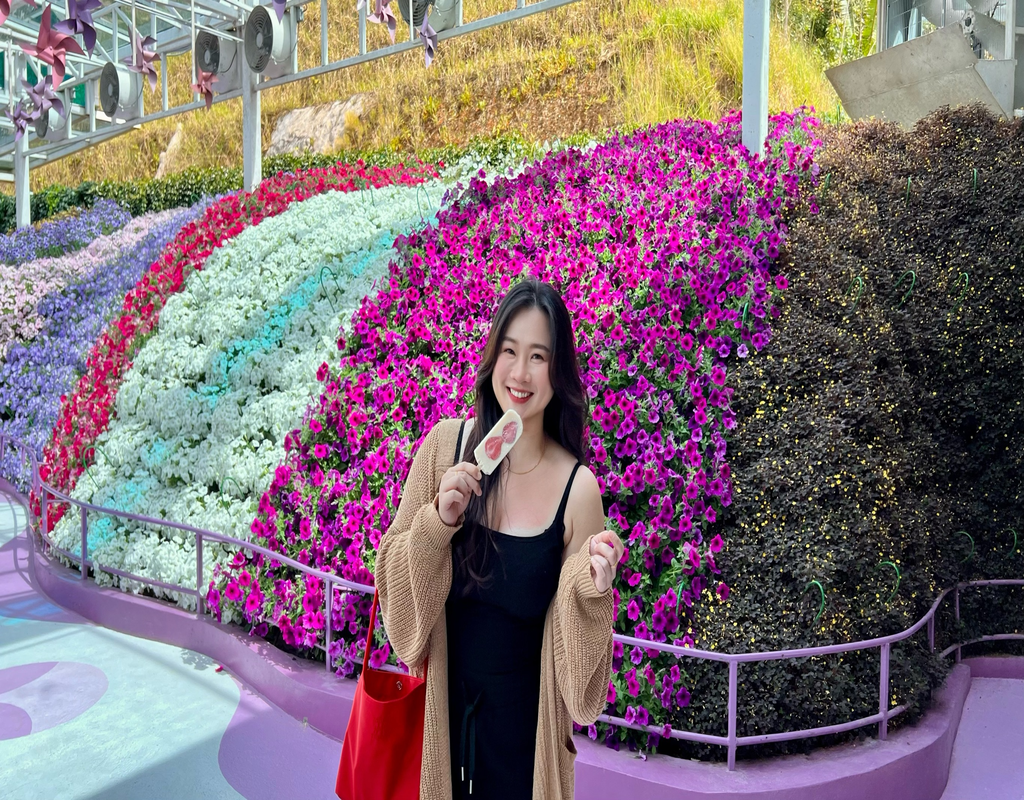 Cameron Highlands Day Tour with Lunch (Guided Tour)